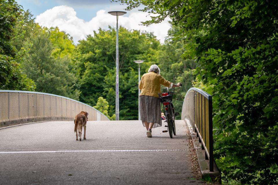 Fußgängerbrücke über die Brudermühlstraße wieder geöffnet