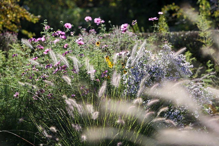 Luisen- und Elisenstraße: ab sofort Tempo 30 am Alten Botanischen Garten