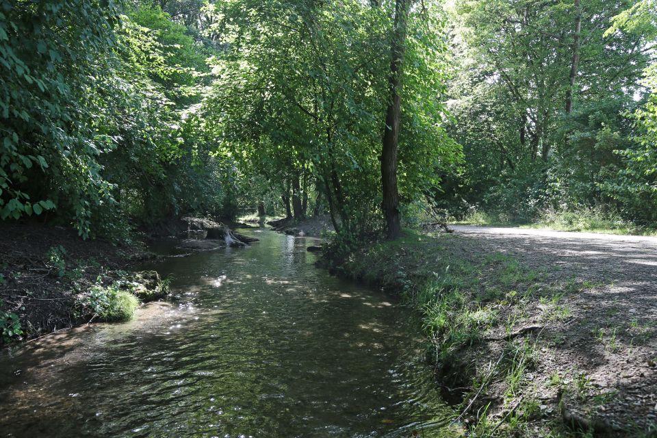 Ostpark: Erneuerung der Fußgängerbrücke über den Hachinger Bach