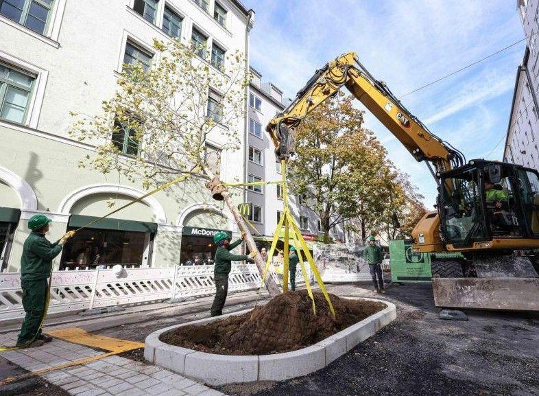 Augustenstraße: Fortschritt bei der Umgestaltung